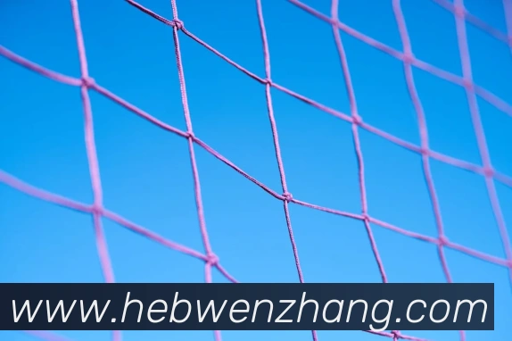 九游手游网官网入口发展历程